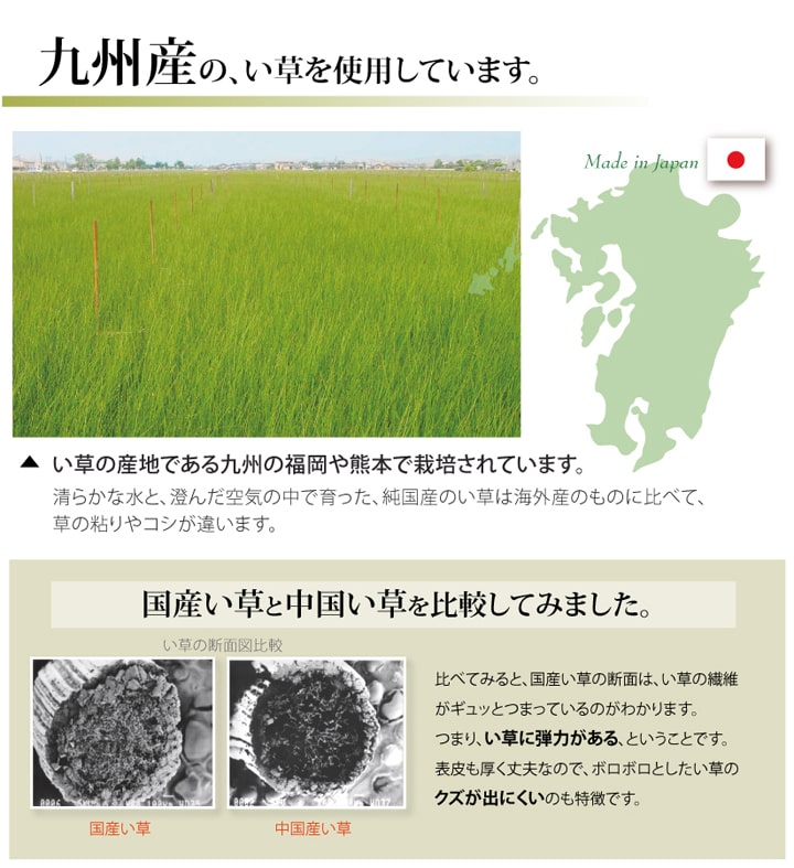 純国産 い草 上敷き カーペット 双目織 『松』 三六間6畳(約273×364cm) 【メーカー直送商品】☆