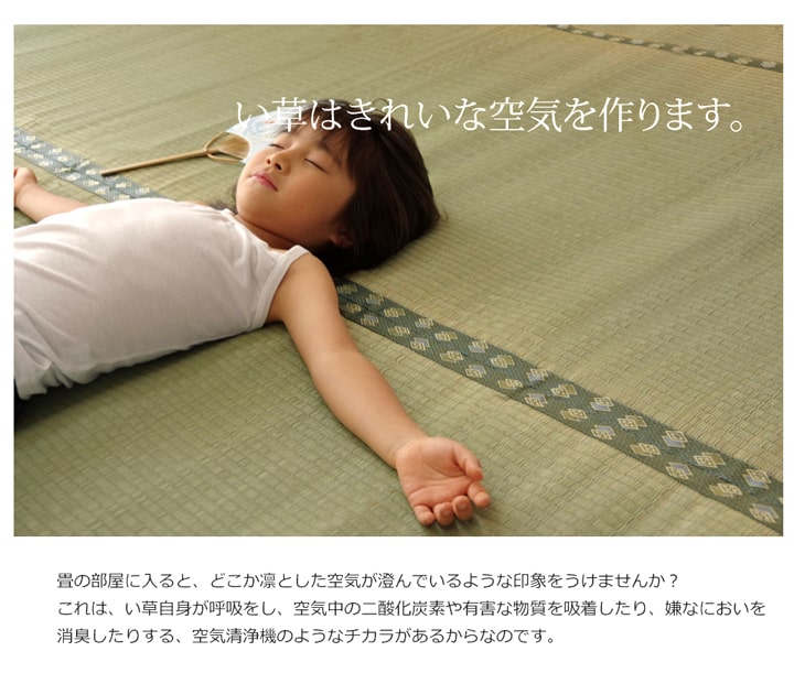 純国産 い草 上敷き カーペット 双目織 『松』 三六間6畳(約273×364cm) 【メーカー直送商品】☆