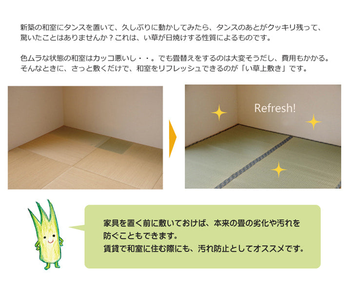 純国産 い草 上敷き カーペット 糸引織 『柿田川』 江戸間2畳(約176×176cm) 【メーカー直送商品】☆