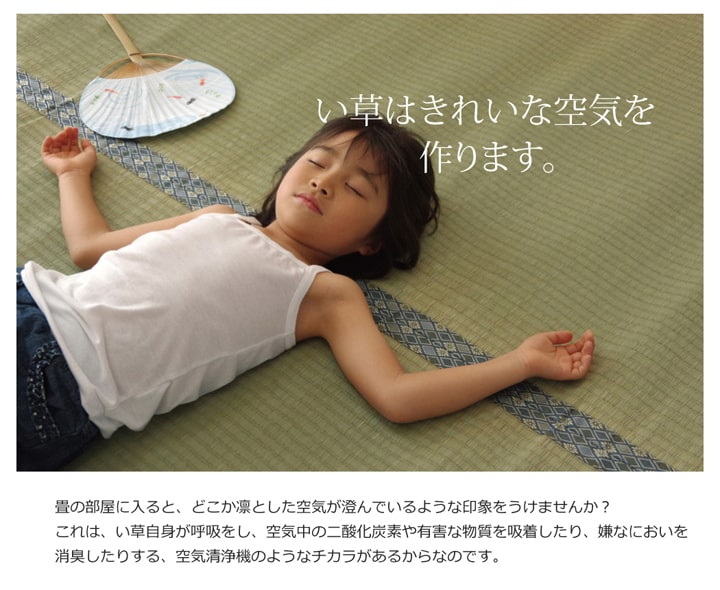 純国産 い草 上敷き カーペット 糸引織 『柿田川』 江戸間2畳(約176×176cm) 【メーカー直送商品】☆
