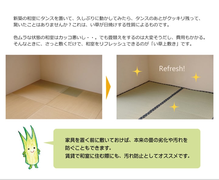 純国産 い草 上敷き カーペット 糸引織 『梅花』 江戸間4.5畳(約261×261cm) 【メーカー直送商品】☆