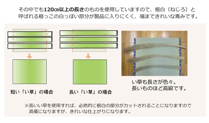 純国産 い草 上敷き カーペット 糸引織 『梅花』 江戸間4.5畳(約261×261cm) 【メーカー直送商品】☆