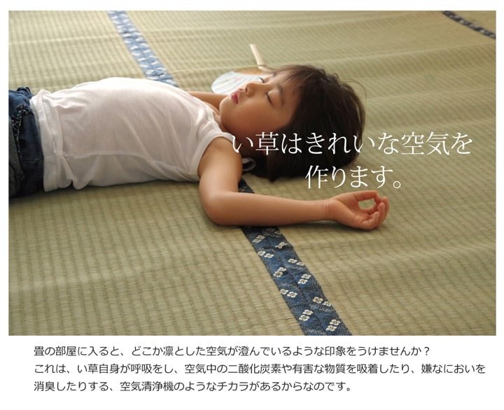 純国産 い草 上敷き カーペット 糸引織 『梅花』 六一間3畳(約185×277cm) 【メーカー直送商品】☆
