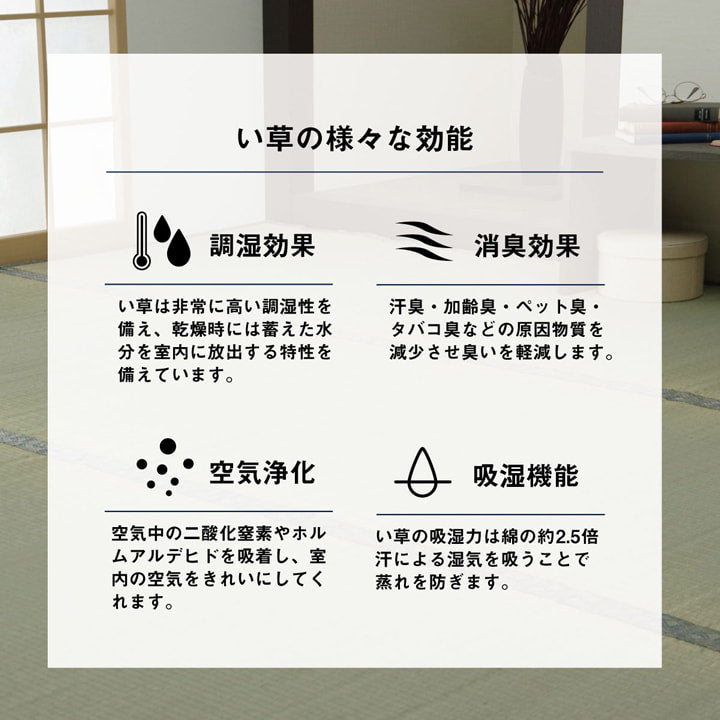 い草 上敷き カーペット 制菌 抗菌防臭 消臭 小林製薬KOBA-GUARD 江戸間2畳(約176×176cm) 【メーカー直送商品】☆