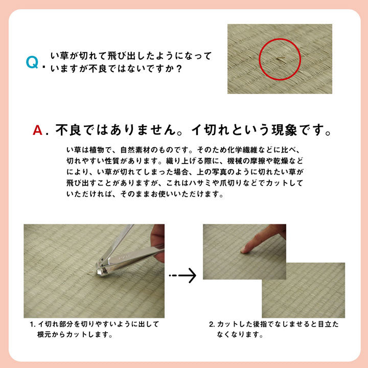 い草 上敷き カーペット 制菌 抗菌防臭 消臭 小林製薬KOBA-GUARD 江戸間2畳(約176×176cm) 【メーカー直送商品】☆