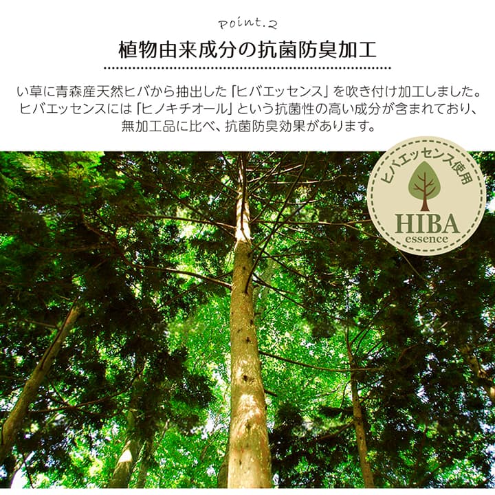い草ラグ 裏ばり 花ござ カーペット ラグ 2畳 ギャッベ(ギャベ)柄 抗菌防臭 消臭 江戸間2畳 (約174×174cm) 裏:不織布 【メーカー直送商品】☆