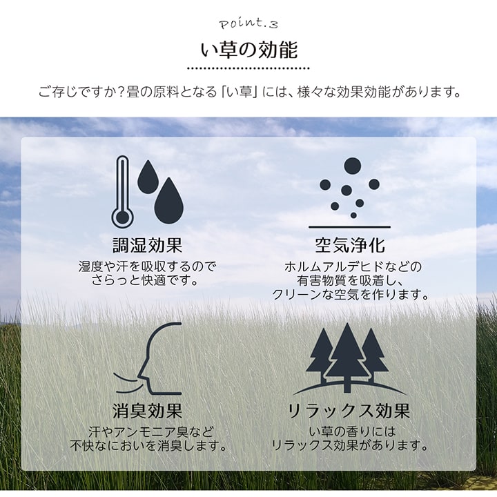 い草ラグ 裏ばり 花ござ カーペット ラグ 2畳 ギャッベ(ギャベ)柄 抗菌防臭 消臭 江戸間2畳 (約174×174cm) 裏:不織布 【メーカー直送商品】☆