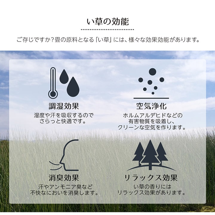 い草ラグ 花ござ カーペット ラグ 6畳 ギャッベ(ギャベ)柄 抗菌防臭 消臭 江戸間6畳 (約261×352cm) 【メーカー直送商品】☆