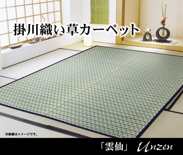 掛川織 い草カーペット 『雲仙』 江戸間8畳(約348×352cm) 【メーカー直送商品】☆
