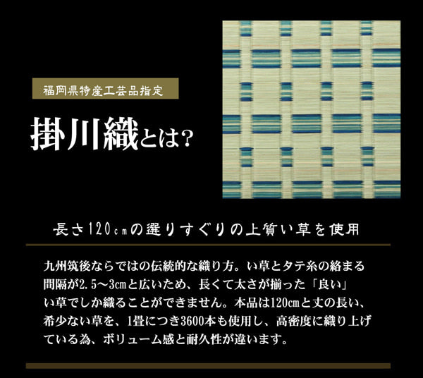掛川織 い草カーペット 『雲仙』 江戸間8畳(約348×352cm) 【メーカー直送商品】☆