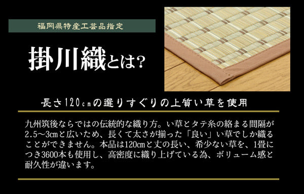 掛川織 い草カーペット 『豊後』 江戸間4.5畳(約261×261cm) 【メーカー直送商品】☆