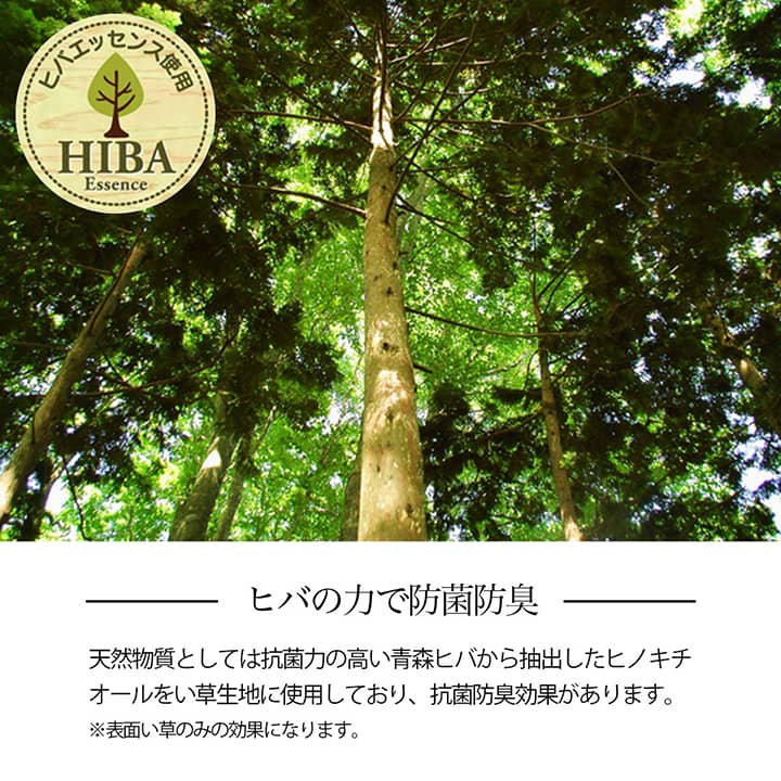 い草ラグ 花ござ カーペット 格子柄 ナチュラル シンプル 和室 洋室 裏不織布滑り止め 滑りにくい 抗菌防臭 消臭 お手入れ簡単 夏快適さらさら 江戸間4.5畳 (約261×261cm) 【メーカー直送商品】☆
