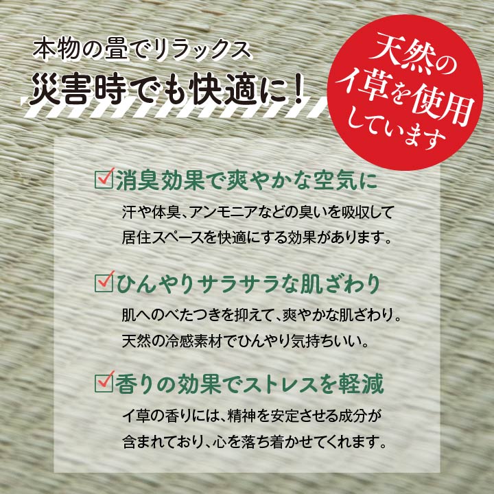 防災 段ボール 約100×200cm【メーカー直送商品】