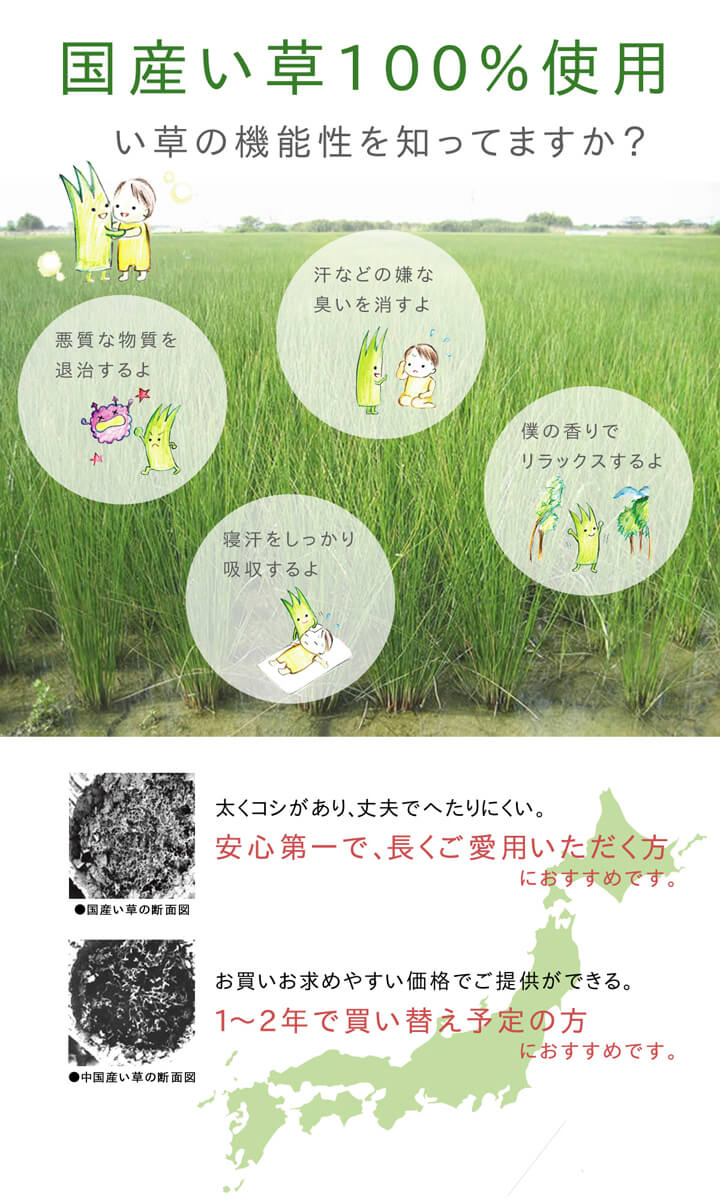 ラグ 国産 い草 カーペット ふっくら ボリューム 『F市松和紋』 約191×191cm 【メーカー直送商品】☆