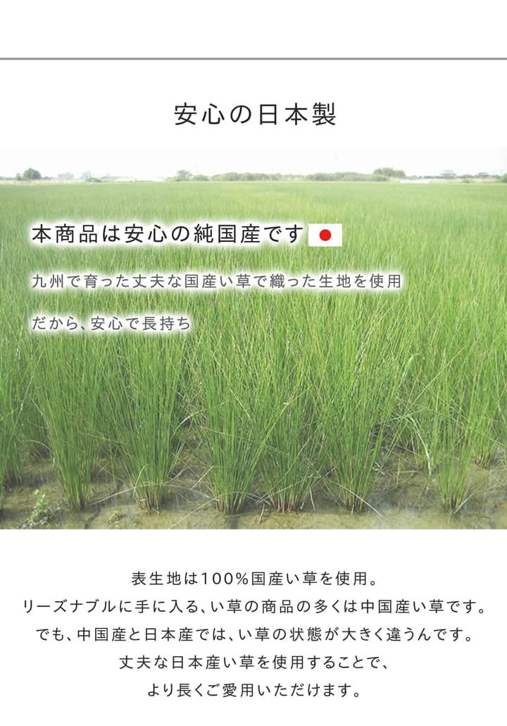 い草ラグ おしゃれ 国産 カーペット 『Fウォール』 約140×200cm 【メーカー直送商品】☆