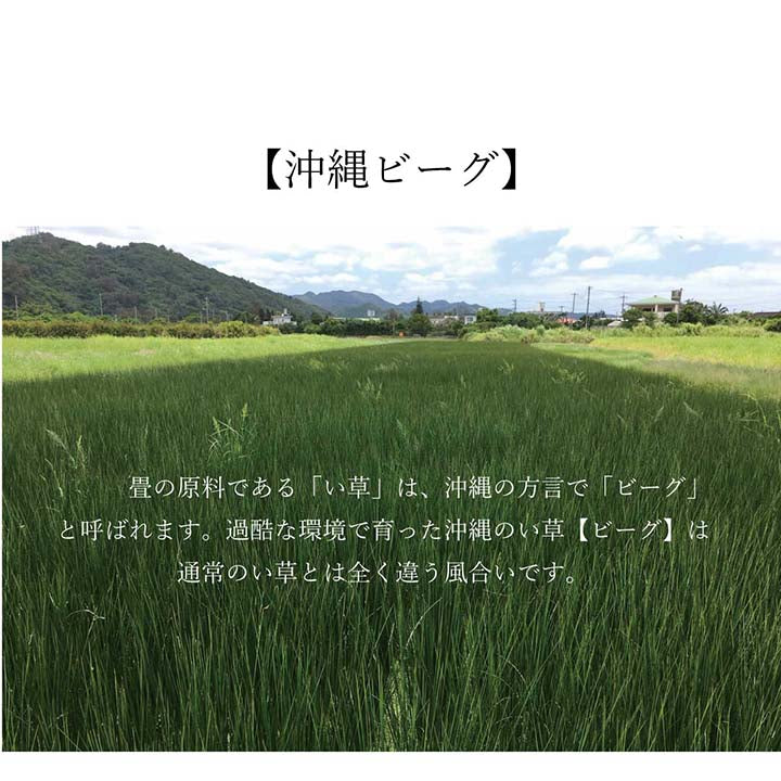 ラグ マット 長方形 い草 夏用 沖縄ビーグ 191×250cm 【メーカー直送商品】☆