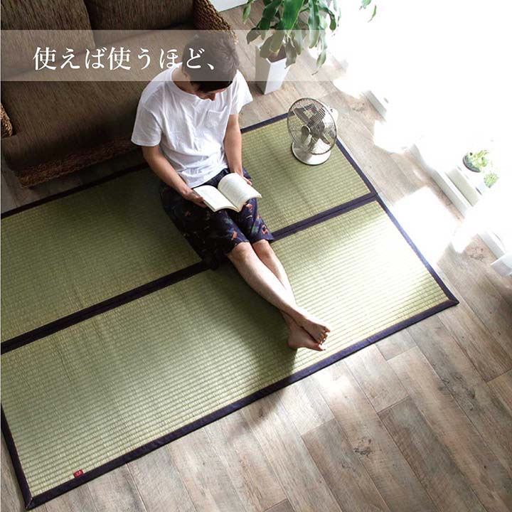 ラグ マット 長方形 い草 夏用 沖縄ビーグ 191×250cm 【メーカー直送商品】☆