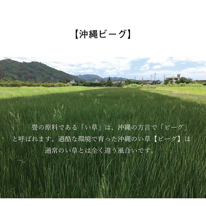 日本製 国産 純国産 沖縄ビーグ ラグ い草 約130×200cm (裏:不織布) 【メーカー直送商品】☆