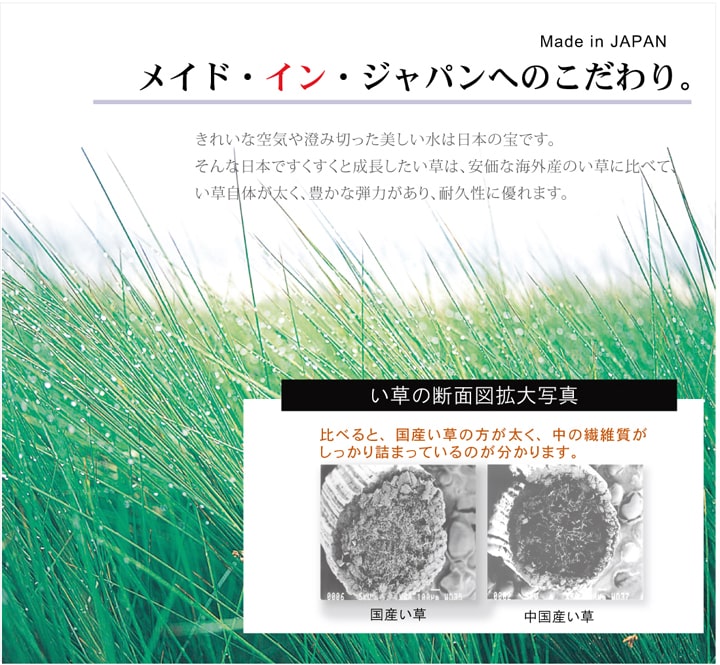 純国産 い草ラグカーペット 格子柄シンプルモダン 『Fライト』 約191×250cm 【メーカー直送商品】☆