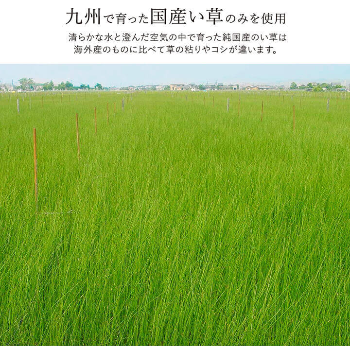ラグ い草 国産 純国産 日本製 シンプル 無地風 抗菌防臭 自然素材 ウレタン 約191×191cm 【メーカー直送商品】☆