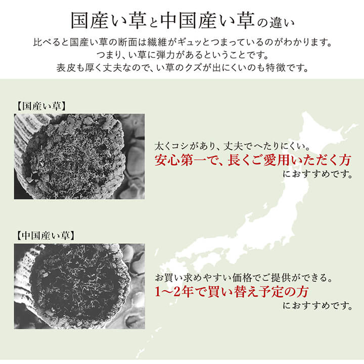 ラグ い草 国産 純国産 日本製 シンプル 無地風 抗菌防臭 自然素材 ウレタン 約191×191cm 【メーカー直送商品】☆