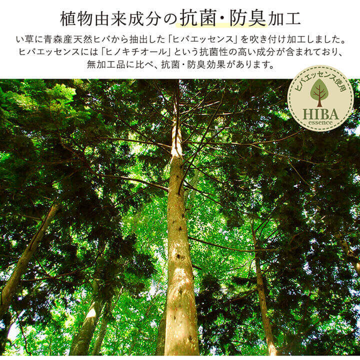 ラグ い草 国産 純国産 日本製 シンプル 無地風 抗菌防臭 自然素材 ウレタン 約191×191cm 【メーカー直送商品】☆