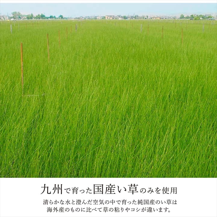 ラグ 長方形 国産 日本製 ナチュラルスタイル い草 消臭 抗菌防臭 滑り止め 防炎 市松 約140×200cm 【メーカー直送商品】☆