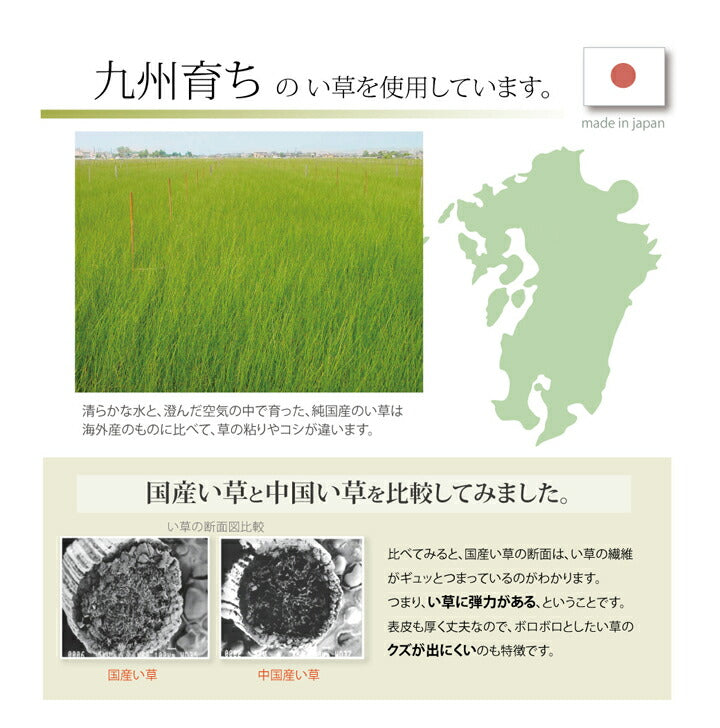純国産 い草ラグカーペット『F)MUKU』約191×191cm【メーカー直送商品】