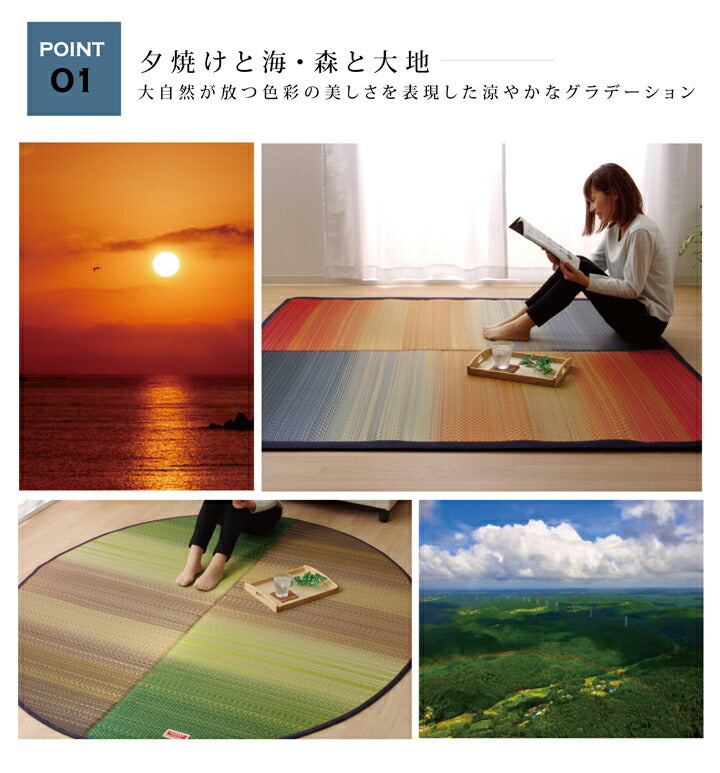 い草ラグ 国産 約3畳 長方形『Fジョイ』約191×250cm【メーカー直送商品】