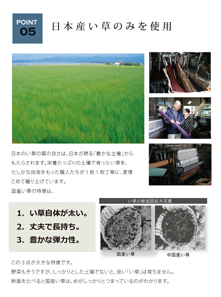 い草ラグ 国産 約3畳 長方形『Fジョイ』約191×250cm【メーカー直送商品】