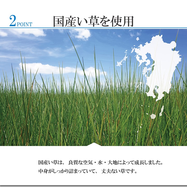 ラグ 国産 純国産 日本製 小林製薬 持続性抗菌剤 KOBA-GUARD 制菌 抗菌防臭 夏 い草 市松 モダン 滑り止め 不織布 約191×250cm 【メーカー直送商品】☆