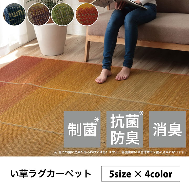ラグ 小林製薬 持続性抗菌剤 KOBA-GUARD 制菌 抗菌防臭 滑り止め 不織布 夏 い草 グラデーション 約190×300cm 【メーカー直送商品】☆