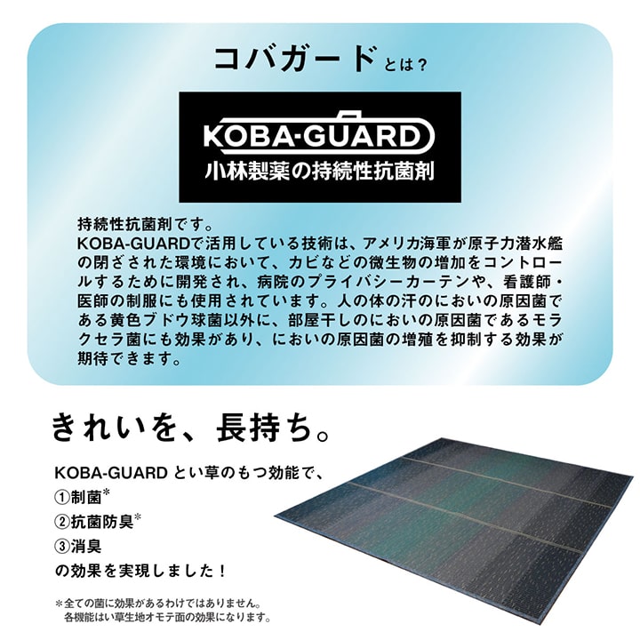 ラグ 小林製薬 持続性抗菌剤 KOBA-GUARD 制菌 抗菌防臭 滑り止め 不織布 夏 い草 グラデーション 約190×300cm 【メーカー直送商品】☆