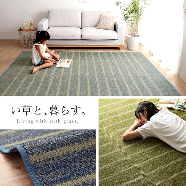 ラグ 長方形 い草 自然素材 シンプル ボーダー 裏面すべり止め付き 滑りにくい 抗菌防臭 約6畳 約240×320cm 【メーカー直送商品】☆