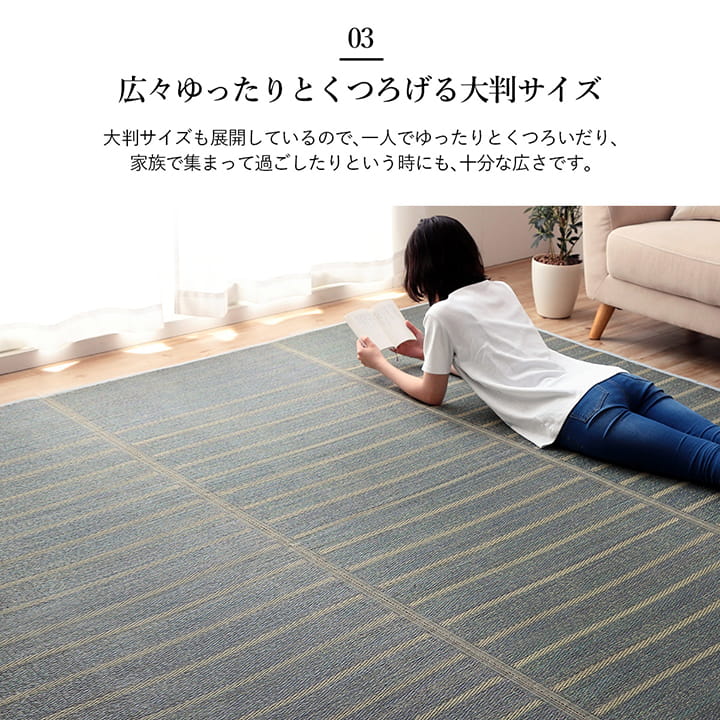 ラグ 長方形 い草 自然素材 シンプル ボーダー 裏面すべり止め付き 滑りにくい 抗菌防臭 約6畳 約240×320cm 【メーカー直送商品】☆