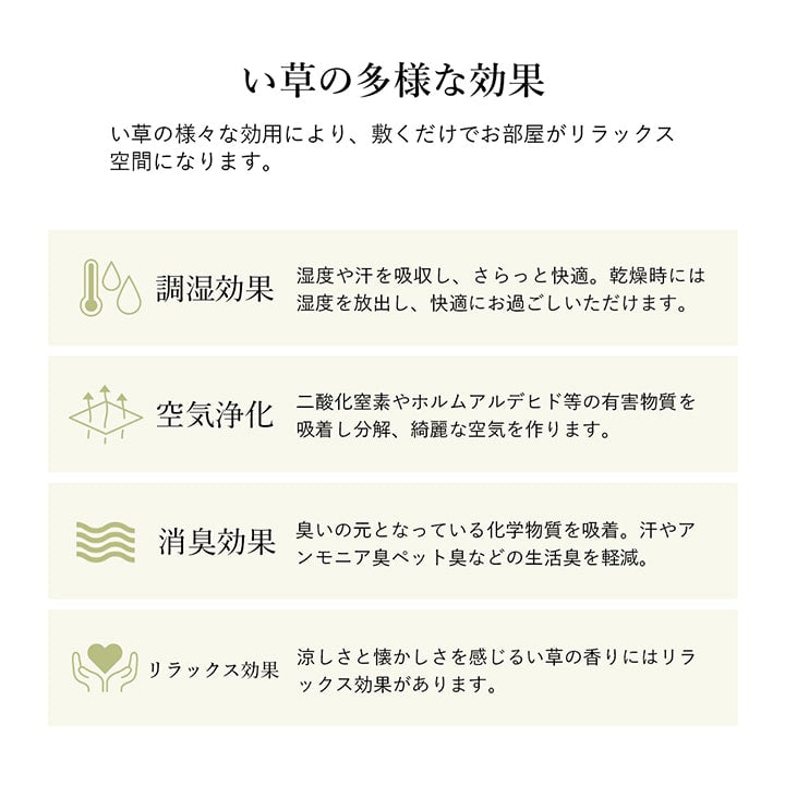 ラグ 長方形 い草 自然素材 シンプル ボーダー 裏面すべり止め付き 滑りにくい 抗菌防臭 約6畳 約240×320cm 【メーカー直送商品】☆