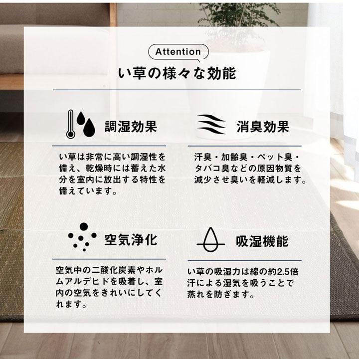 ラグ 小林製薬 持続性抗菌剤 KOBA-GUARD 制菌 抗菌防臭 滑り止め ウレタン 不織布 夏 い草 グラデーション 約190×250cm 【メーカー直送商品】☆
