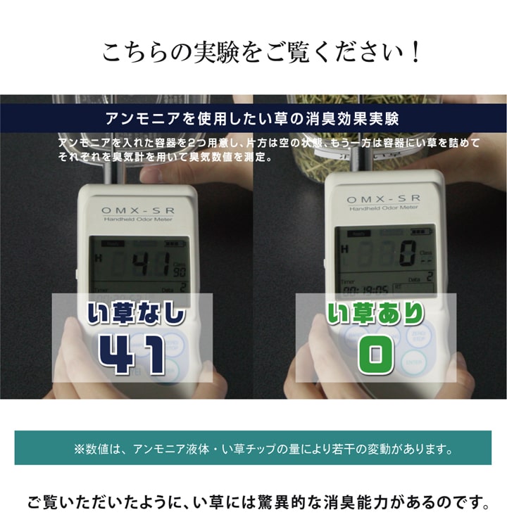純国産 い草玄関マット 『Fランクス』 約60×90cm(裏:ウレタン) 【メーカー直送商品】☆