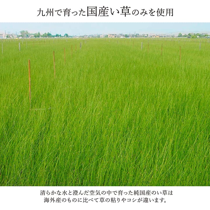 敷物 花ござ 国産 純国産 日本製 い草 モダン 抗菌防臭 自然素材 パッチワーク 本間3畳 約191×286cm 【メーカー直送商品】☆
