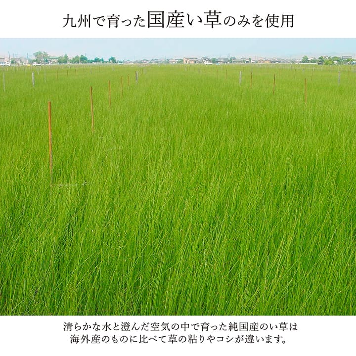 純国産 掛川織 花ござ い草 敷物 カーペット 江戸間2畳 (約174×174cm) 【メーカー直送商品】☆