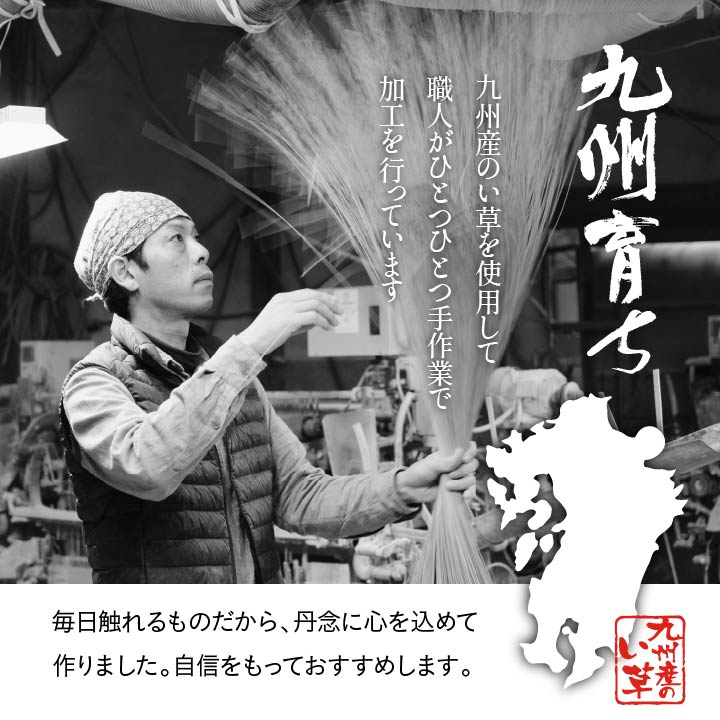 純国産 い草 上敷き カーペット 格子柄 江戸間6畳(約261×352cm) 【メーカー直送商品】☆