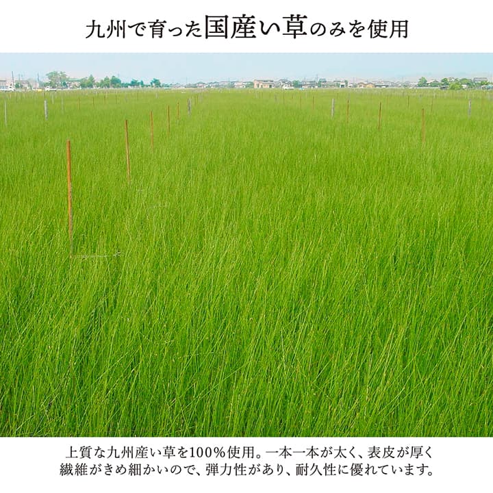 敷物 花ござ 国産 純国産 日本製 い草 掛川織 モダン 抗菌防臭 自然素材 江戸間3畳 約174×261cm 【メーカー直送商品】☆
