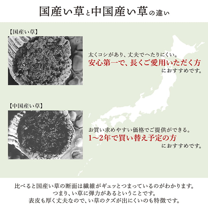 敷物 花ござ 国産 純国産 日本製 い草 掛川織 モダン 抗菌防臭 自然素材 江戸間6畳 約261×352cm 【メーカー直送商品】☆