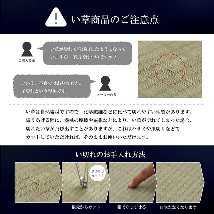 【福岡県品評会最優秀賞】敷物 国産 日本製 純国産 い草 掛川織 花ござ 抗菌防臭 自然素材 モダン 江戸間2畳 約174×174cm 【メーカー直送商品】☆