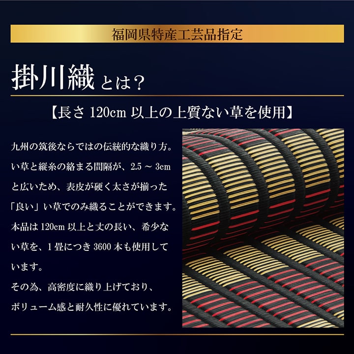 【福岡県品評会最優秀賞】敷物 国産 日本製 純国産 い草 掛川織 花ござ 抗菌防臭 自然素材 モダン 江戸間2畳 約174×174cm 【メーカー直送商品】☆
