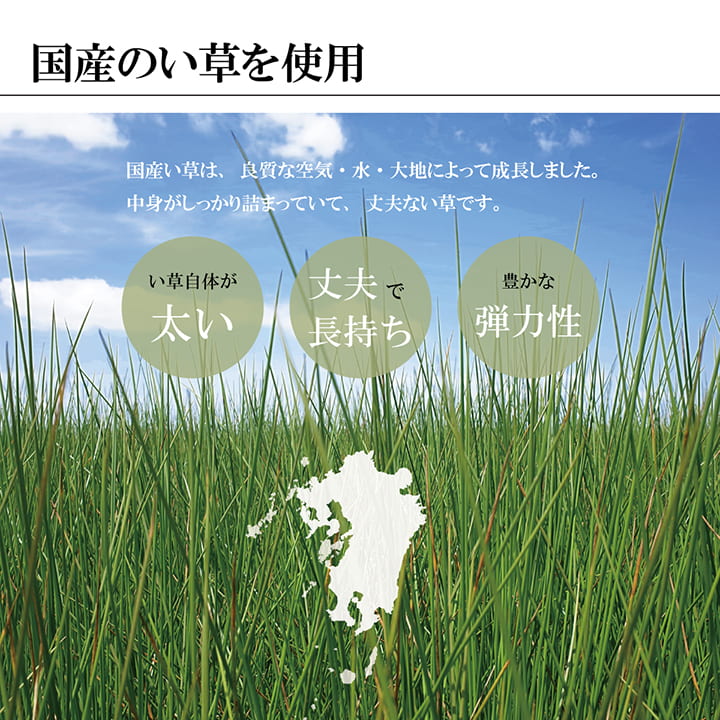【福岡県品評会最優秀賞】敷物 国産 日本製 純国産 い草 掛川織 花ござ 抗菌防臭 自然素材 モダン 江戸間8畳 約348×352cm 【メーカー直送商品】☆