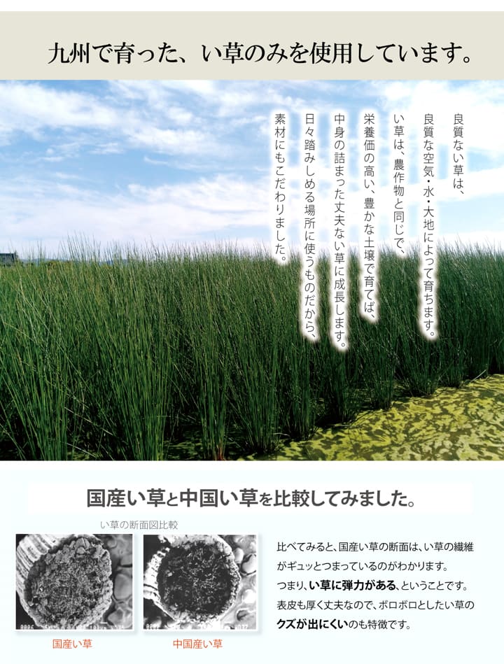 玄関 マット 室内 おしゃれ 日本製 国産 い草 自然素材 エレガント 約70×120cm 【メーカー直送商品】☆