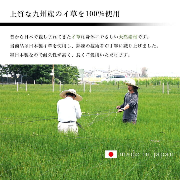 国産 い草玄関マット 袋織 デニム『Fラルフ』約60×90cm【メーカー直送商品】