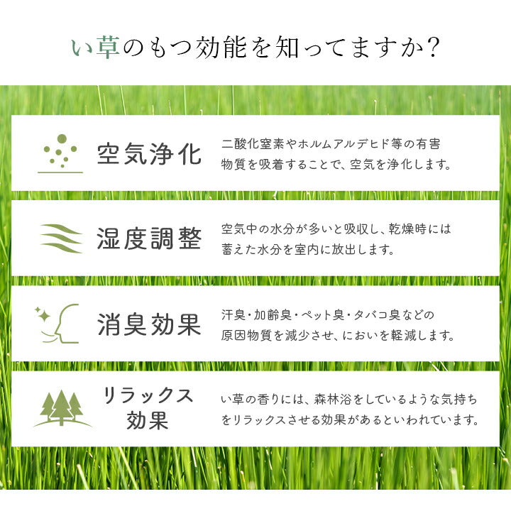 国産 い草玄関マット 袋織 デニム『Fラルフ』約60×90cm【メーカー直送商品】