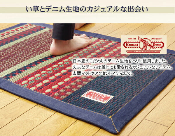 国産 い草玄関マット 袋織 デニム『Fラルフ』約60×90cm【メーカー直送商品】